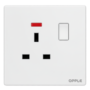 فيش مفرد 13 أمبير أبيض